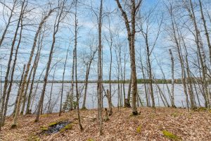 Whole - Off Johnson Ln, , Wnchester,  WI 54557