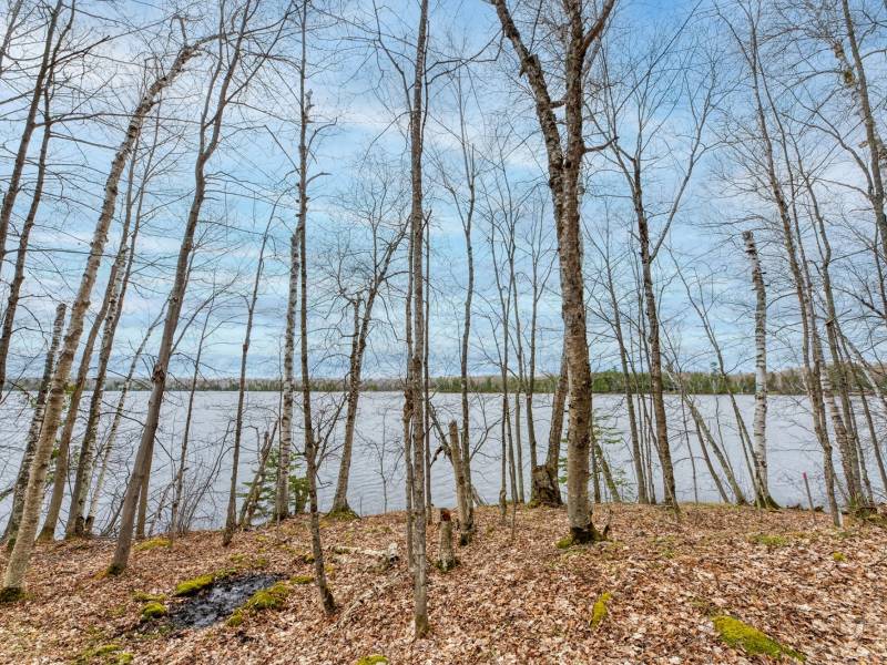 Whole - Off Johnson Ln, , Wnchester,  WI 54557