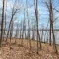 Whole - Off Johnson Ln, , Wnchester,  WI 54557