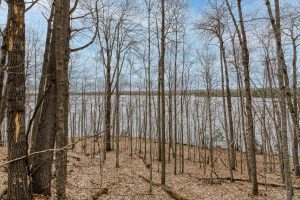 Whole - Off Johnson Ln, , Wnchester,  WI 54557