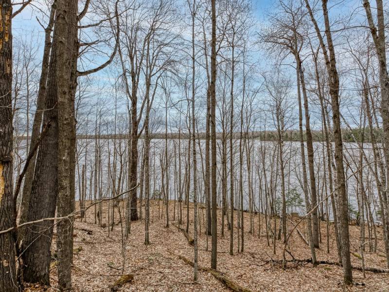 Whole - Off Johnson Ln, , Wnchester,  WI 54557