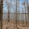 Whole - Off Johnson Ln, , Wnchester,  WI 54557