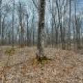 Whole - Off Johnson Ln, , Wnchester,  WI 54557