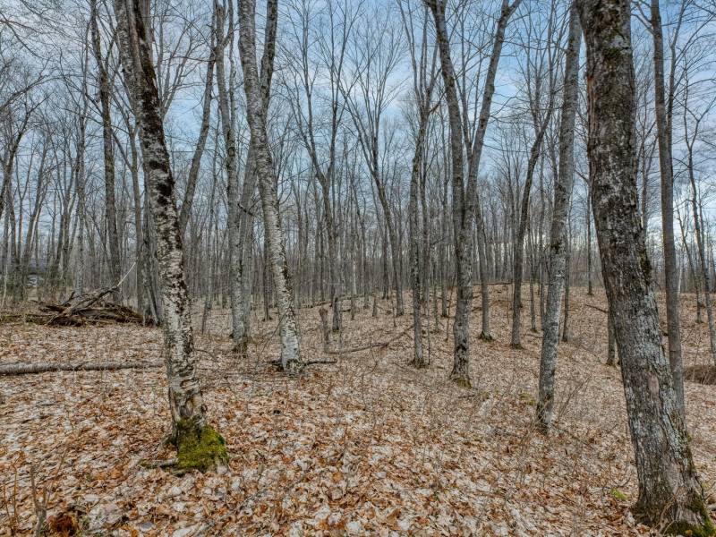 Whole - Off Johnson Ln, , Wnchester,  WI 54557