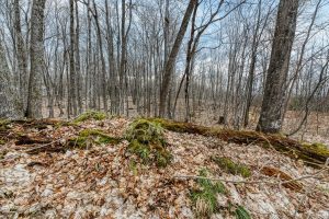 Whole - Off Johnson Ln, , Wnchester,  WI 54557