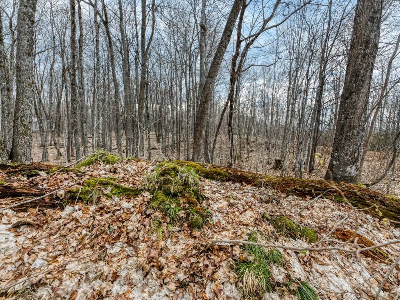 Whole - Off Johnson Ln, , Wnchester,  WI 54557