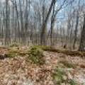 Whole - Off Johnson Ln, , Wnchester,  WI 54557