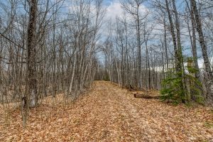 Whole - Off Johnson Ln, , Wnchester,  WI 54557