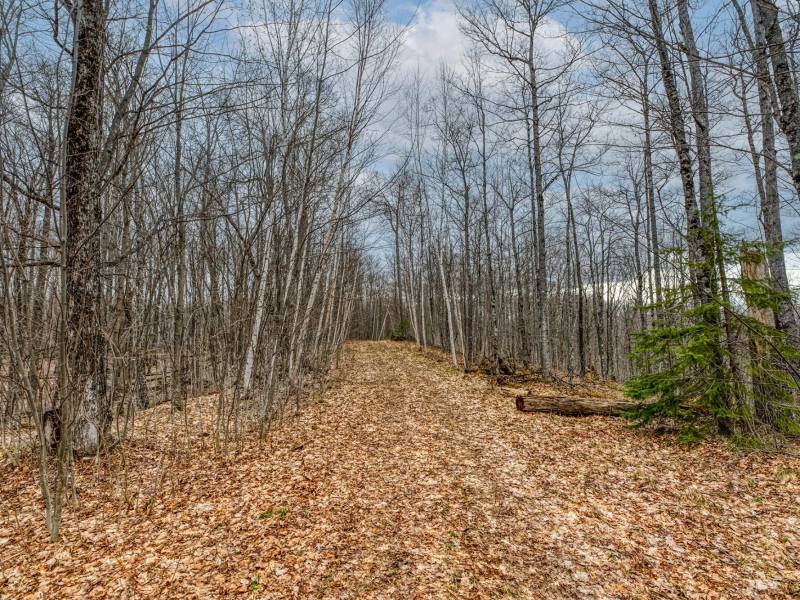 Whole - Off Johnson Ln, , Wnchester,  WI 54557