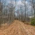 Whole - Off Johnson Ln, , Wnchester,  WI 54557