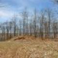 Whole - Off Johnson Ln, , Wnchester,  WI 54557