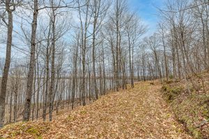 Whole - Off Johnson Ln, , Wnchester,  WI 54557