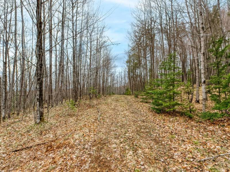 Whole - Off Johnson Ln, , Wnchester,  WI 54557