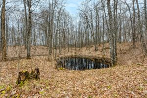 Whole - Off Johnson Ln, , Wnchester,  WI 54557