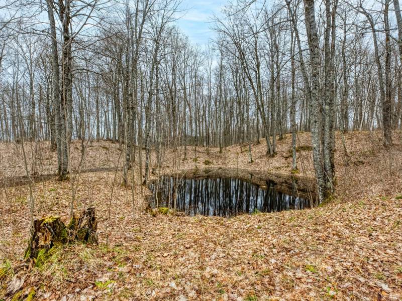 Whole - Off Johnson Ln, , Wnchester,  WI 54557