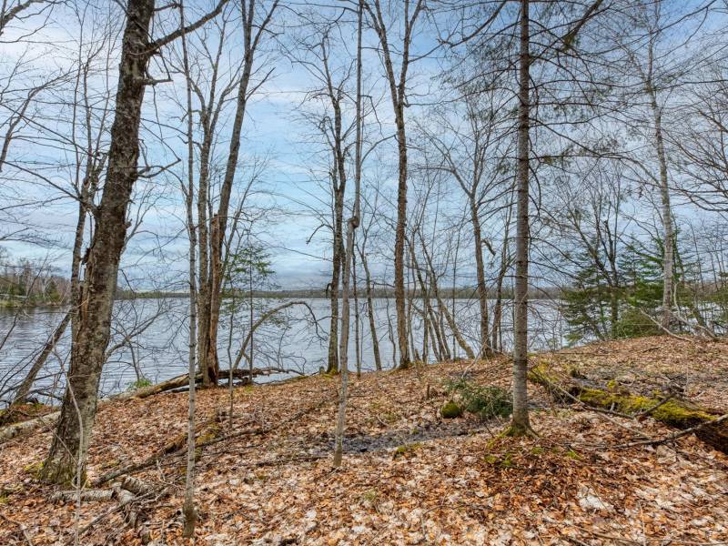 Whole - Off Johnson Ln, , Wnchester,  WI 54557