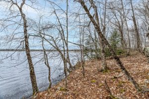 Whole - Off Johnson Ln, , Wnchester,  WI 54557