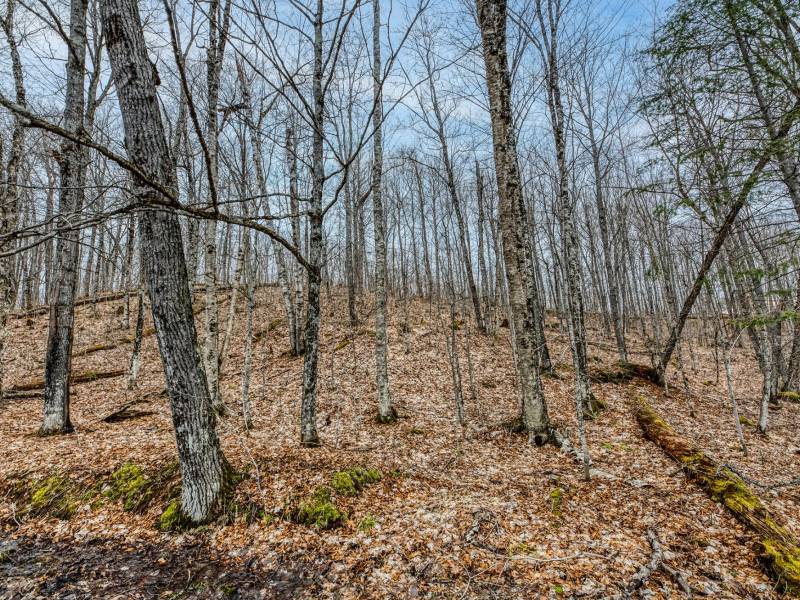 Whole - Off Johnson Ln, , Wnchester,  WI 54557