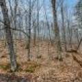 Whole - Off Johnson Ln, , Wnchester,  WI 54557