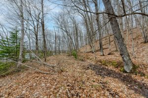 Whole - Off Johnson Ln, , Wnchester,  WI 54557