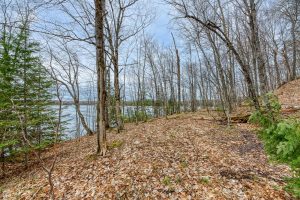 Whole - Off Johnson Ln, , Wnchester,  WI 54557