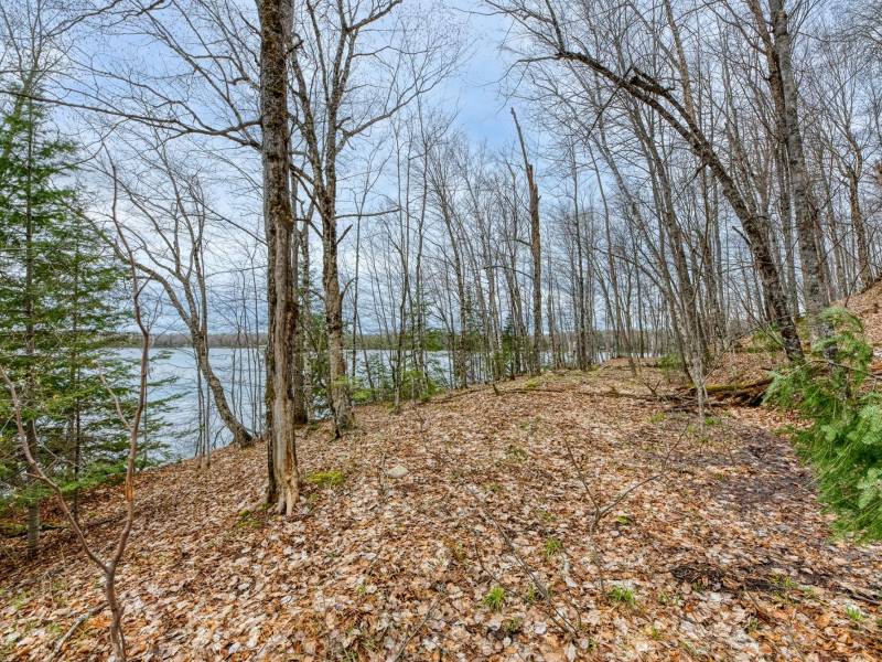Whole - Off Johnson Ln, , Wnchester,  WI 54557
