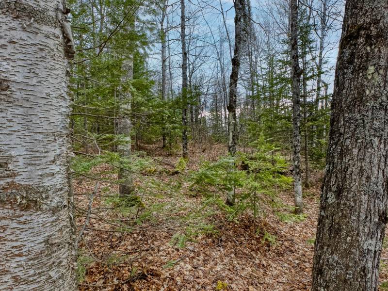 Whole - Off Johnson Ln, , Wnchester,  WI 54557