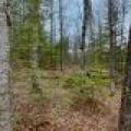 Whole - Off Johnson Ln, , Wnchester,  WI 54557