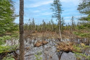 Whole - Off Johnson Ln, , Wnchester,  WI 54557