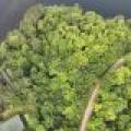 7661 Lone Pine Dr,, Presque Isle, Presque Isle,  WI 54560 United States