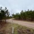 2325 Lund Rd, Nokomis, Tomahawk,  WI 54529 United States