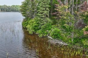 7661 Lone Pine Dr,, Presque Isle, Presque Isle,  WI 54560 United States
