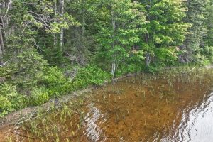 7661 Lone Pine Dr,, Presque Isle, Presque Isle,  WI 54560 United States