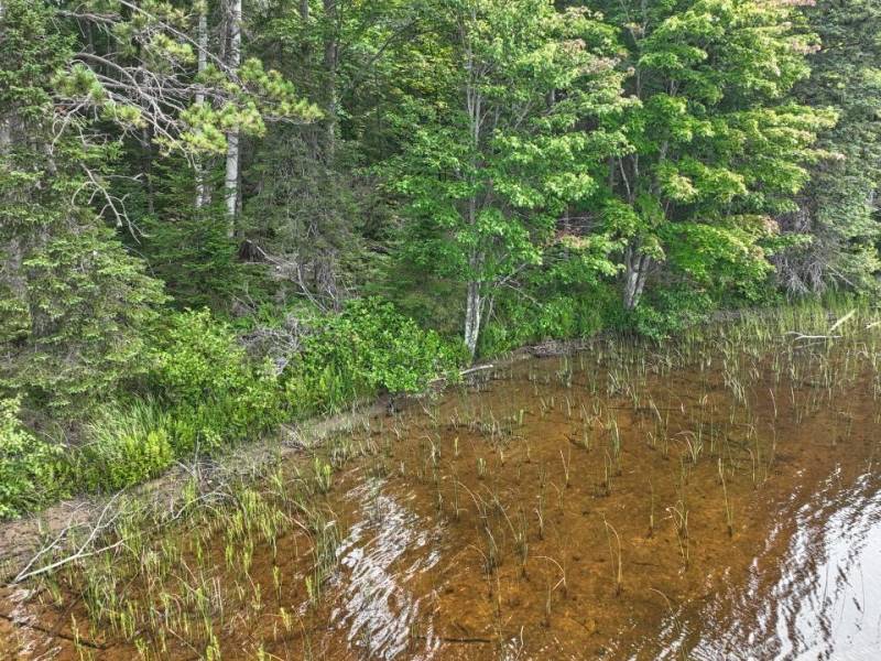 7661 Lone Pine Dr,, Presque Isle, Presque Isle,  WI 54560 United States