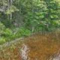 7661 Lone Pine Dr,, Presque Isle, Presque Isle,  WI 54560 United States
