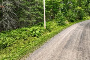 7661 Lone Pine Dr,, Presque Isle, Presque Isle,  WI 54560 United States