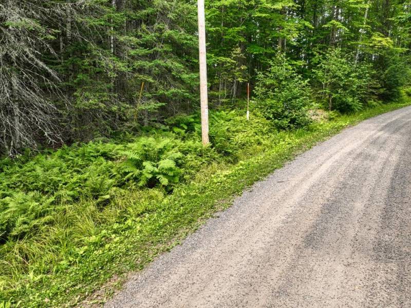 7661 Lone Pine Dr,, Presque Isle, Presque Isle,  WI 54560 United States