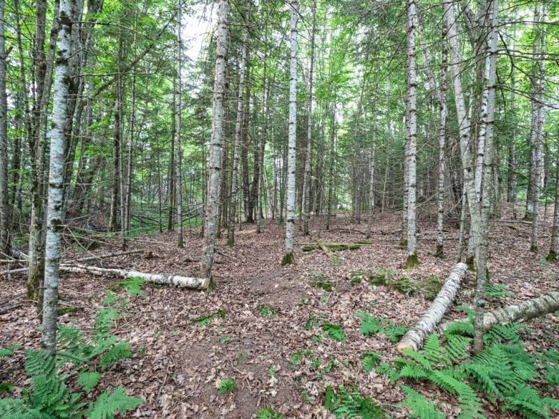 7661 Lone Pine Dr,, Presque Isle, Presque Isle,  WI 54560 United States