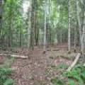 7661 Lone Pine Dr,, Presque Isle, Presque Isle,  WI 54560 United States