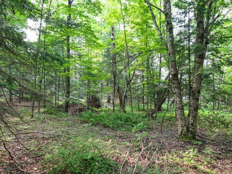 7661 Lone Pine Dr,, Presque Isle, Presque Isle,  WI 54560 United States