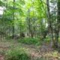 7661 Lone Pine Dr,, Presque Isle, Presque Isle,  WI 54560 United States