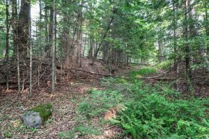 7661 Lone Pine Dr,, Presque Isle, Presque Isle,  WI 54560 United States