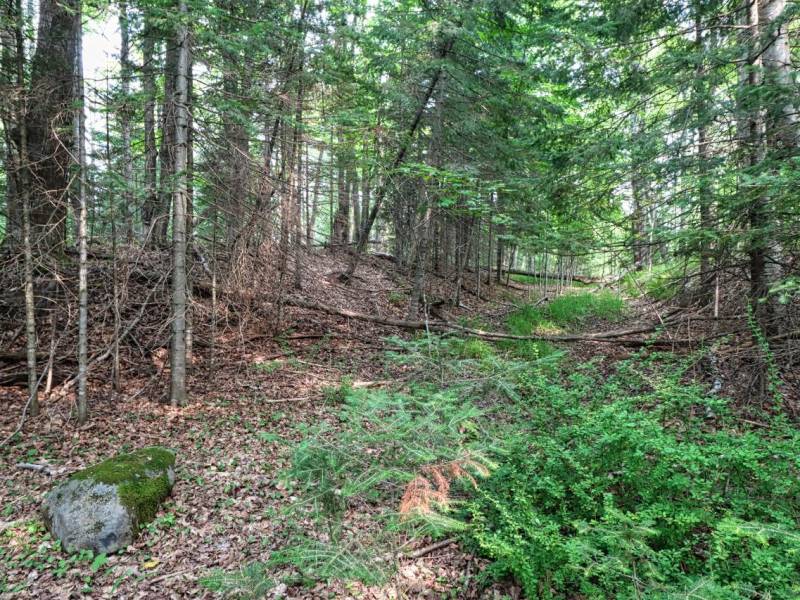 7661 Lone Pine Dr,, Presque Isle, Presque Isle,  WI 54560 United States