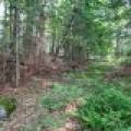 7661 Lone Pine Dr,, Presque Isle, Presque Isle,  WI 54560 United States