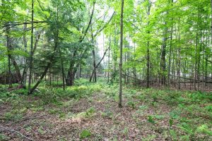 7661 Lone Pine Dr,, Presque Isle, Presque Isle,  WI 54560 United States