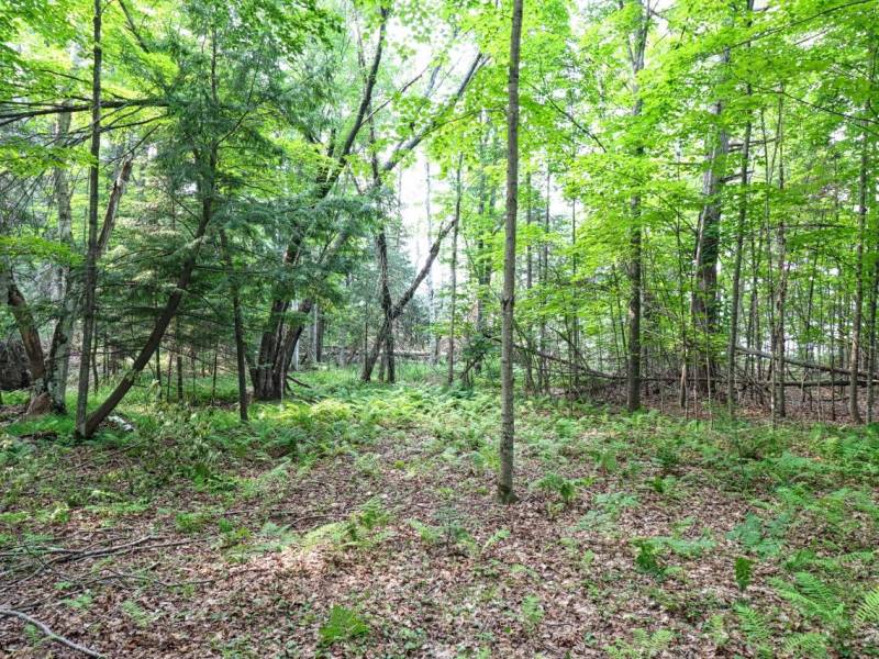 7661 Lone Pine Dr,, Presque Isle, Presque Isle,  WI 54560 United States