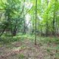 7661 Lone Pine Dr,, Presque Isle, Presque Isle,  WI 54560 United States