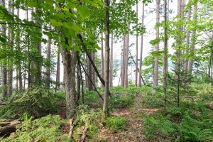 7661 Lone Pine Dr,, Presque Isle, Presque Isle,  WI 54560 United States