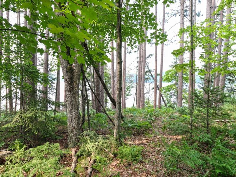 7661 Lone Pine Dr,, Presque Isle, Presque Isle,  WI 54560 United States