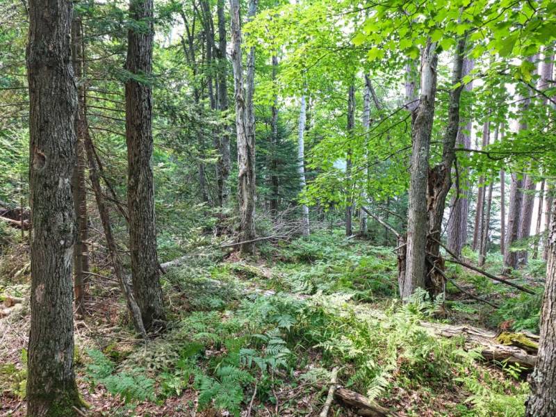 7661 Lone Pine Dr,, Presque Isle, Presque Isle,  WI 54560 United States
